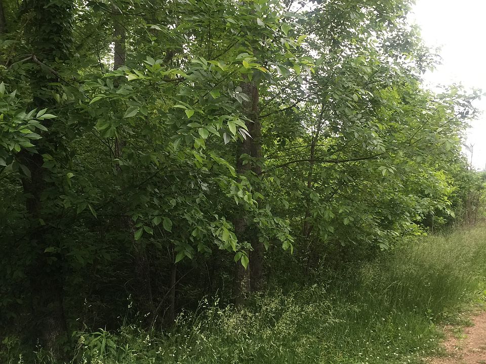 2nd image of Eagle Nest Ct Lot 41