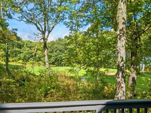 911 Devils Knob Loop, Wintergreen Resort, VA 22967