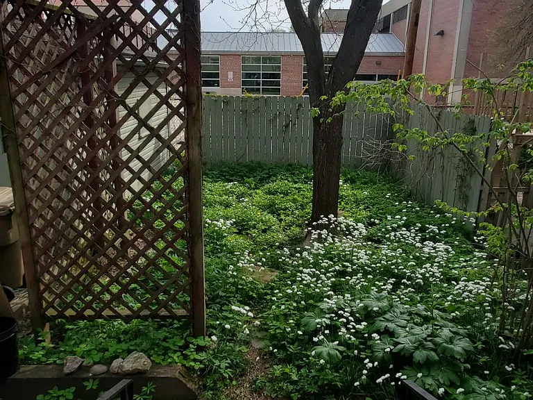 114 N 5th St #2 — Photo 15