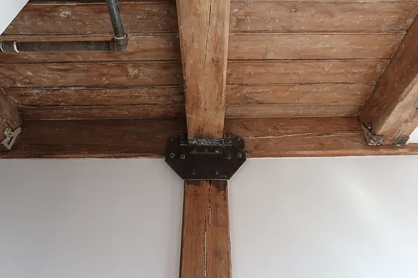 Rented by MNS | media 5