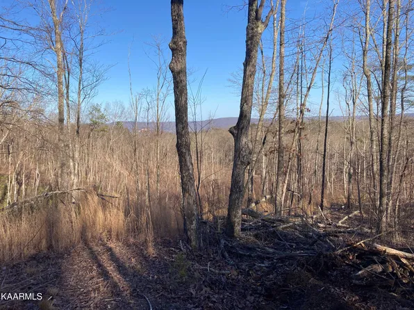 Bench Rd, Pikeville, TN 37367