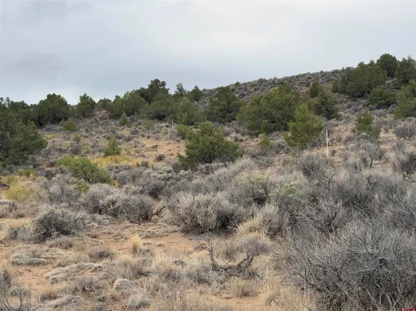 lots 77,78 6th, San Luis, CO 81152