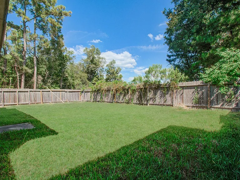 10410 Solitude Way — Photo 47