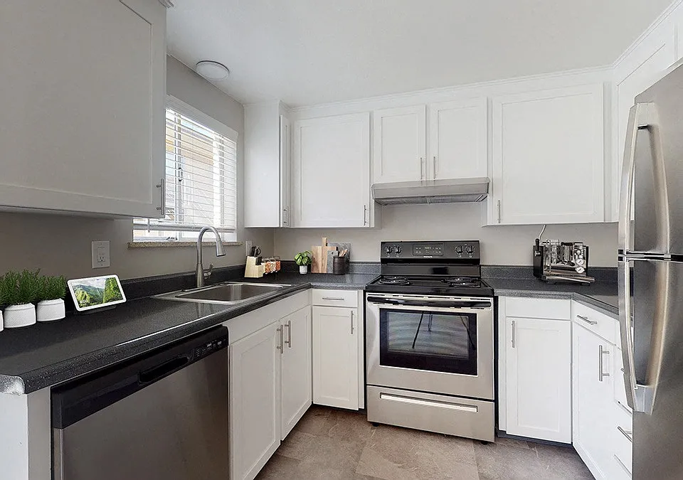 Pioneer