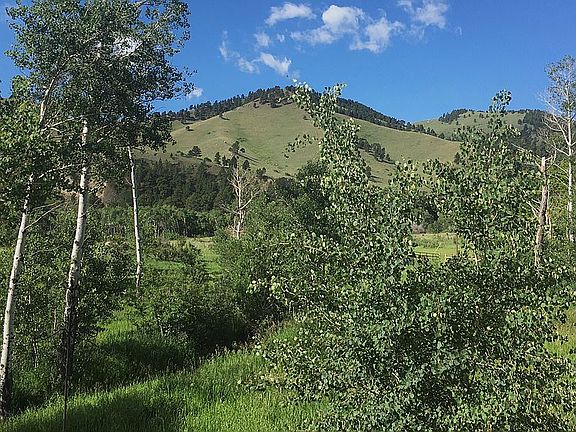 View out dining room