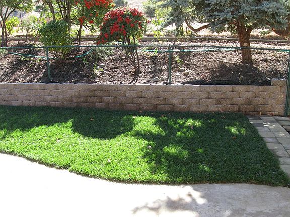 No rear neighbors, open space