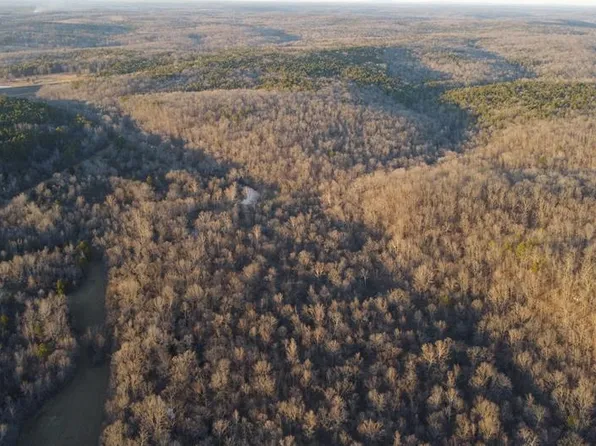 698 Hoot Owl Ln, Grandin, MO 63943