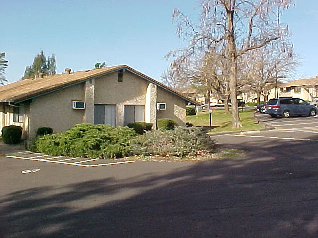 Pepper Tree — Photo 8