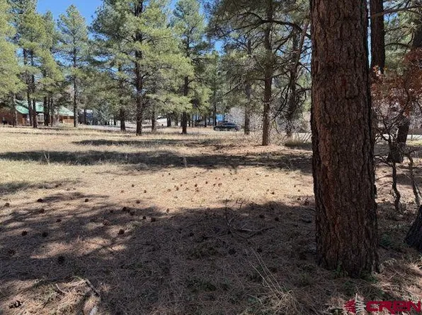 174 Oakwood Circle, Pagosa Springs, CO 81147