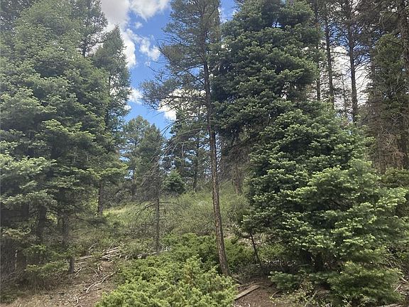 5th image of Lot 6858 Starkweather Road