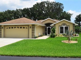 29132 Princeville Dr, San Antonio, FL 33576