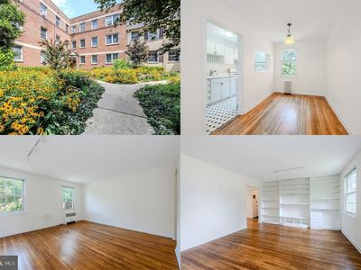 2219 Washington Ave APT 203, Silver Spring, MD, 20910