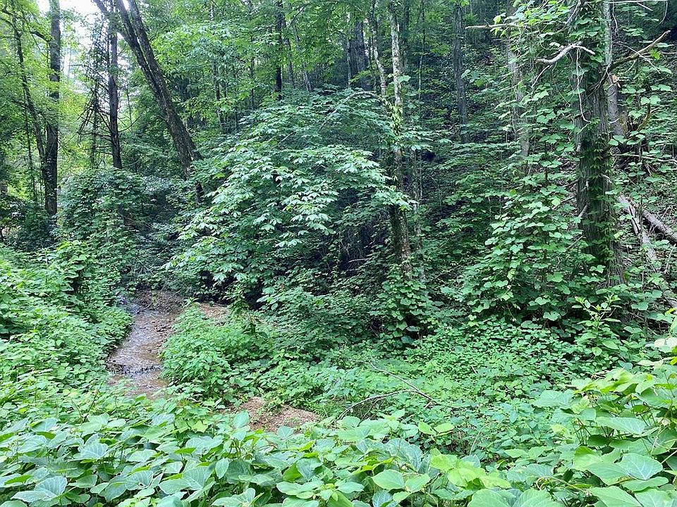 1st image of 1 Black Walnut Flats Rd