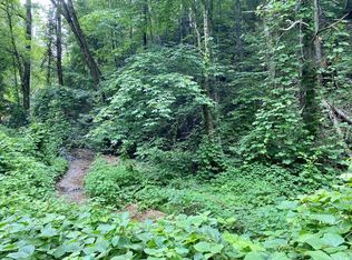 1 Black Walnut Flats Rd, Sevierville, TN 37862