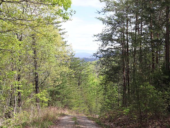 5th image of 0 Bullet Mountain Dr