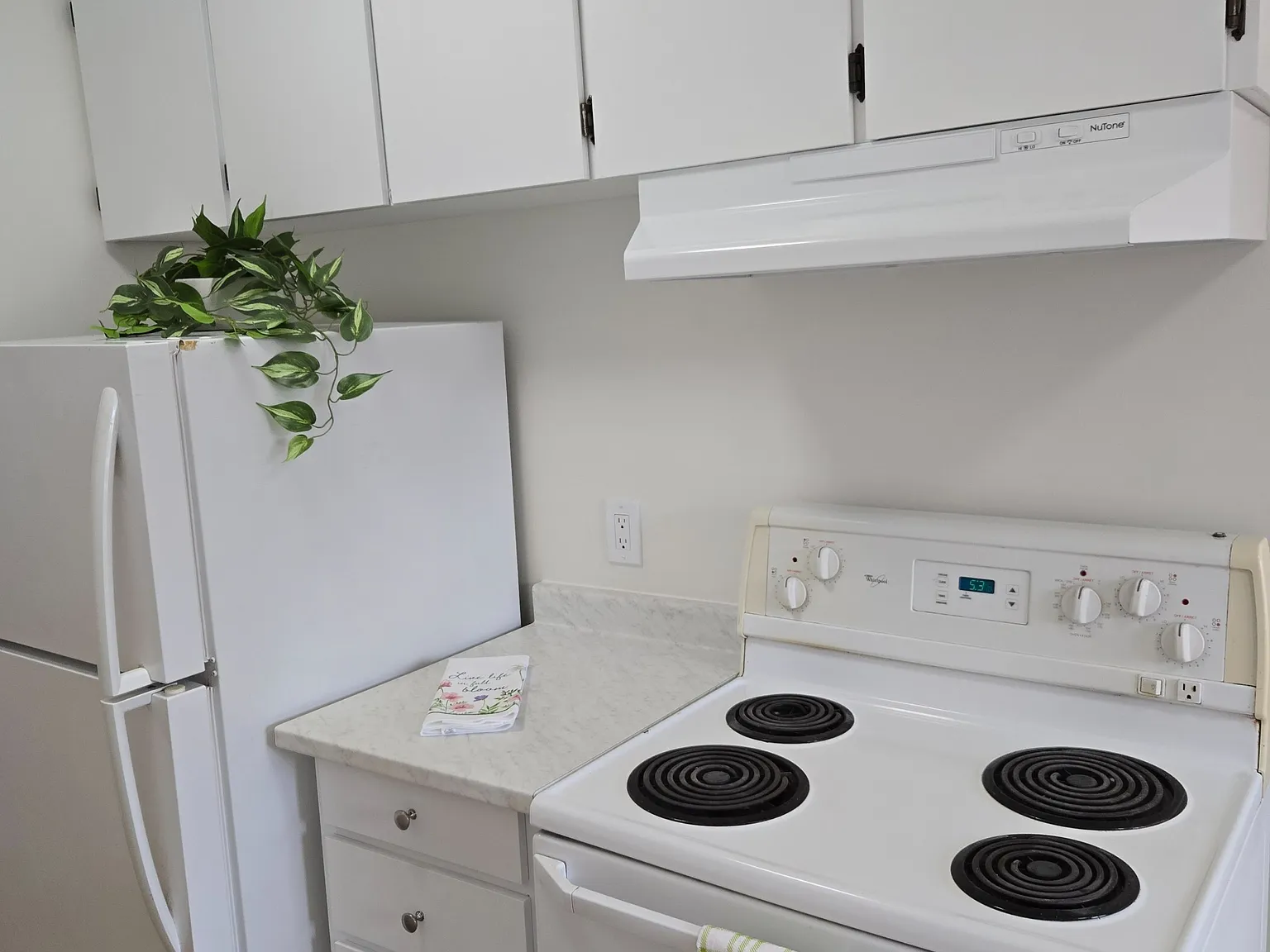 1 bed, $1,649 — Photo 4