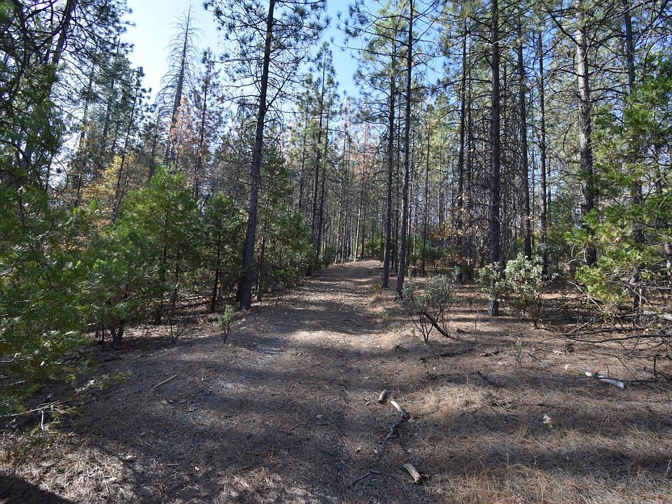 2nd image of 10690 Bucktail Dr