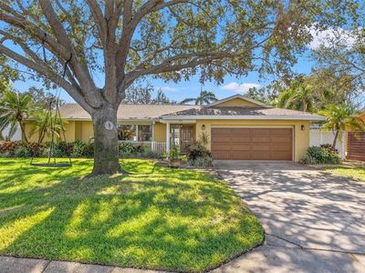970 45th Ave NE, Saint Petersburg, FL, 33703