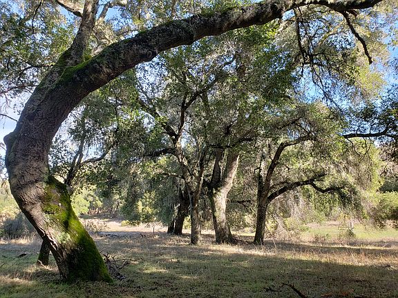 4th image of 11 Arroyo Sequoia
