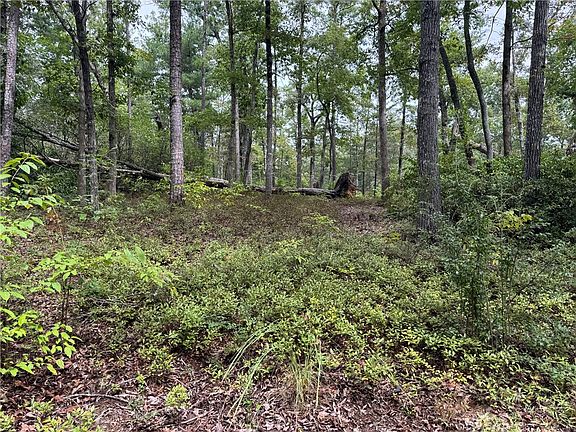 3rd image of S46 Cliffs Falls Pkwy