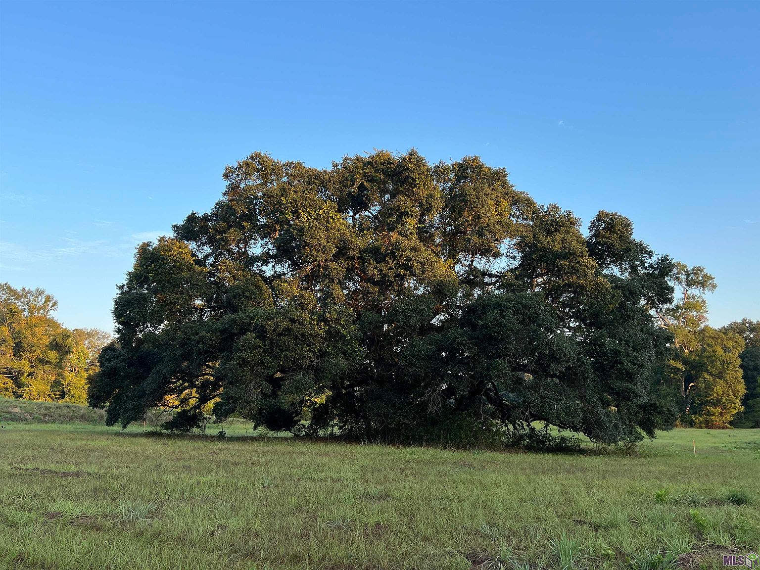 1 Four Commerce St B, Saint Francisville, LA 70775 MLS 2023016319