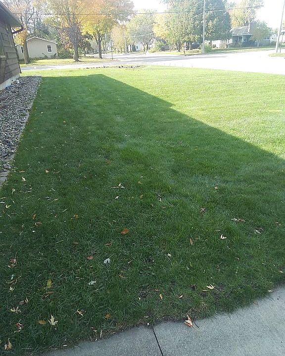 Front yard