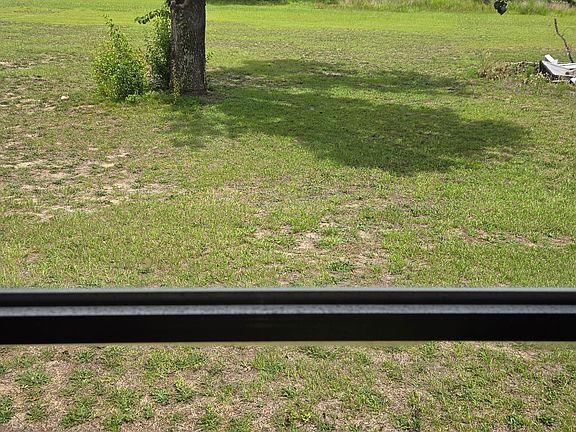 backyard looking from inside window