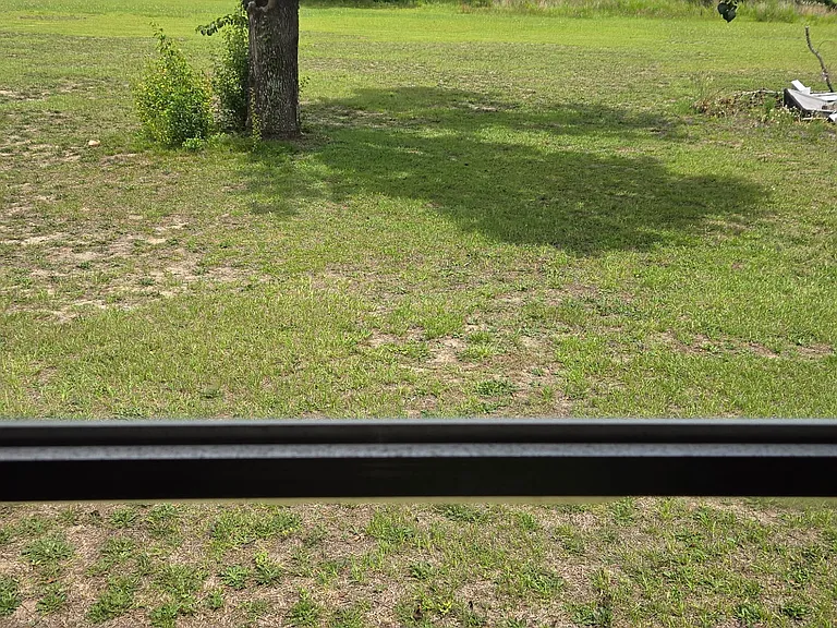 backyard looking from inside window