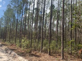 Tdb Northeast Dr #25, Jasper, FL 32052