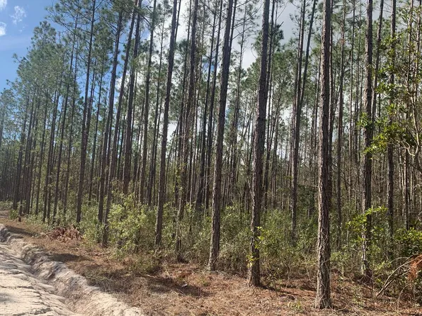 Tdb Northeast Dr #25, Jasper, FL 32052