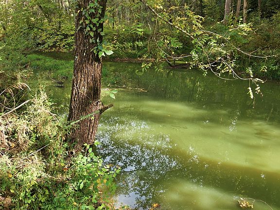 3rd image of 0 Gladston Rd
