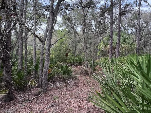 9936 N Not Named, Crystal River, FL 34428