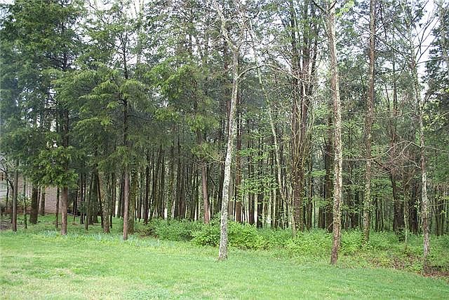 1st image of 1411 Willowbrooke Cir Lot 1302