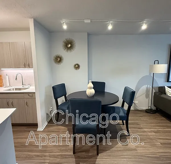 1135 N Dearborn St #402 — Photo 3