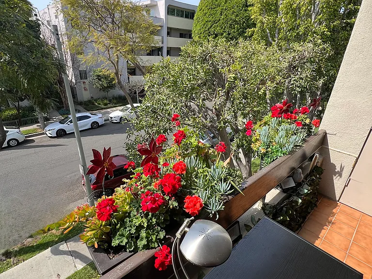 Desirable front facing bright western Balcony overlooking one of West Hollywood best tree lined streets.