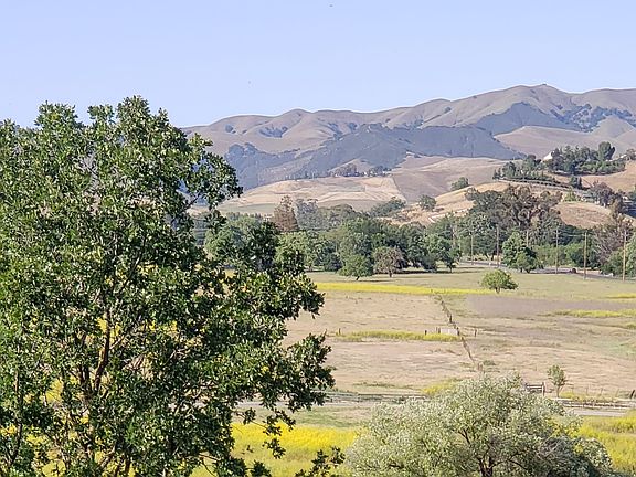 View from the back yard