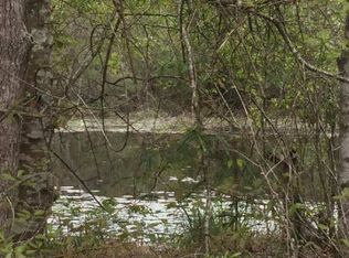 126 Virgil Lewis Rd W, Carriere, MS 39426