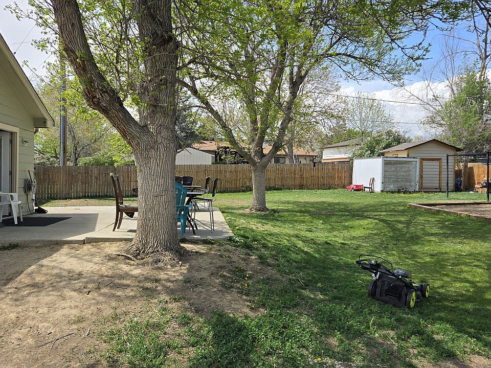 backyard fun, bbq, hangout