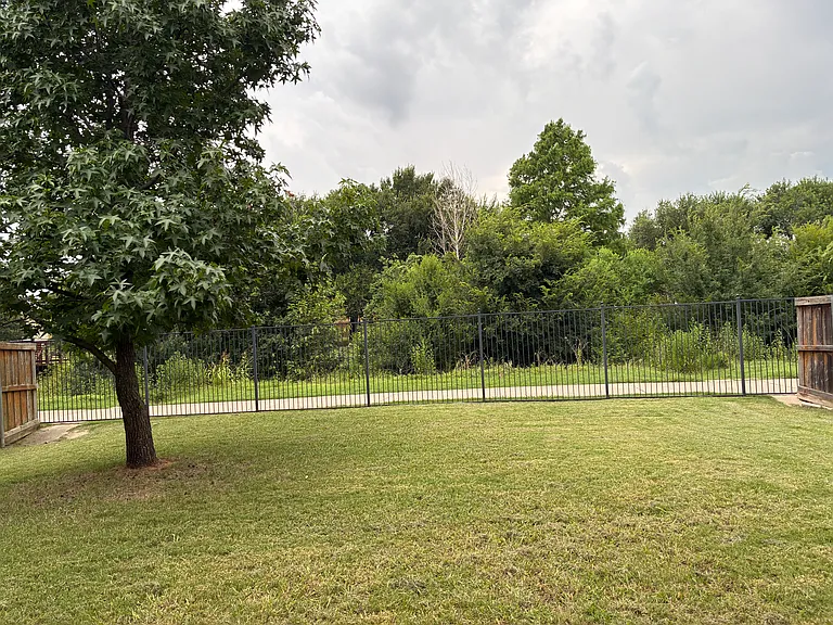 Backyard