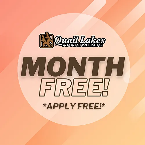 ONE MONTH FREE! APPLY FREE! VIRTUAL TOURS! Photo 1