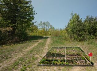 LOT 4 W Pendills Lake Rd, Brimley, MI 49715