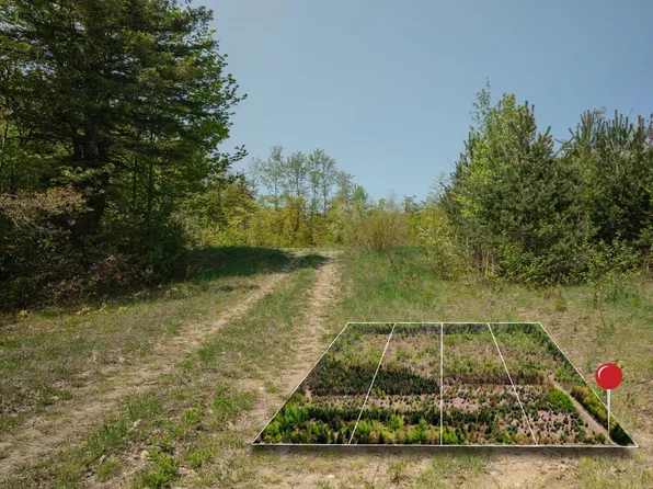 LOT 4 W Pendills Lake Rd, Brimley, MI 49715