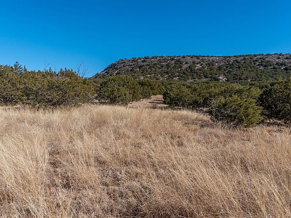 Creekside Rural Land For Sale near Winters, TX in Jim Ned School DIstrict with Owner Financing