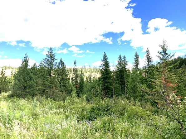 U Buffy Ln, Inchelium, WA 99138