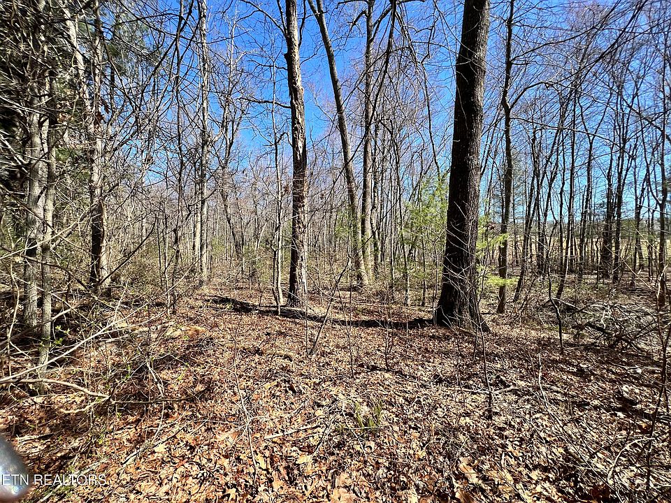 2nd image of Beehive Ln