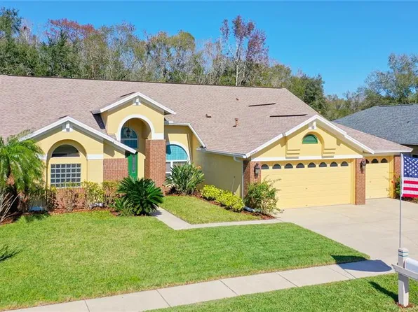 28449 Openfield Loop, Zephyrhills, FL 33543