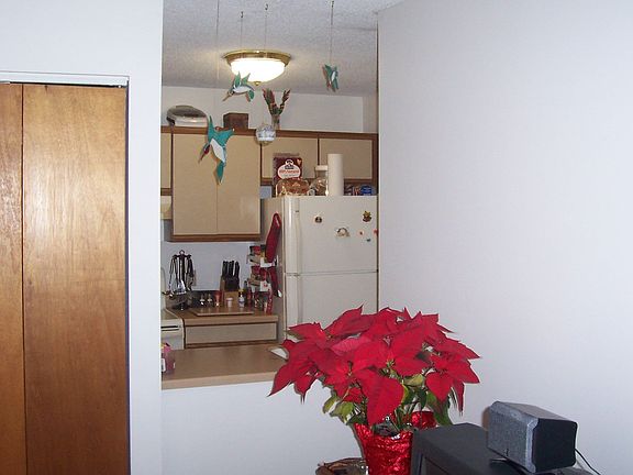 Kitchen Opens to Living Room