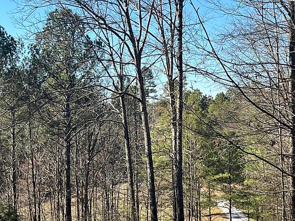 3rd image of 343 County Road 758