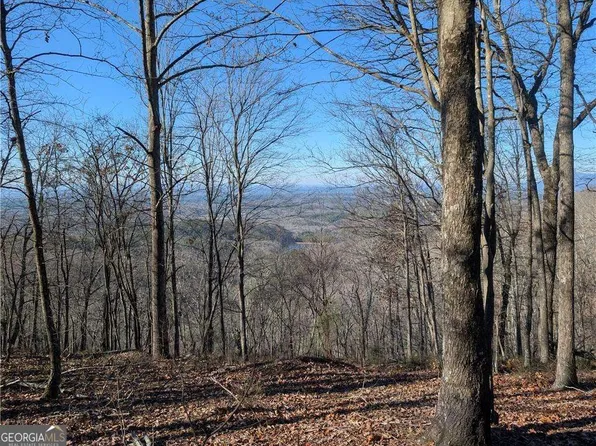 234 Stirratt Rd, Ranger, GA 30734