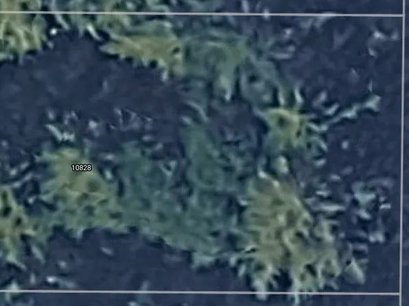 10828 Madrona Dr, Anderson Island, WA 98303